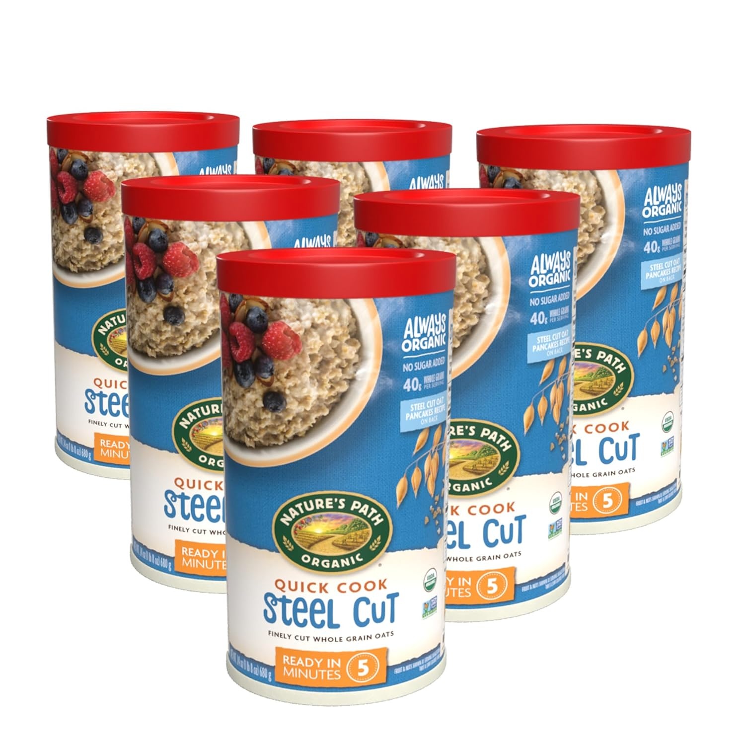 Nature’s Path Organic Old Fashioned Oats Instant Oatmeal, 18 oz (Pack of 6), Non-GMO(Quick Cook Steel Cut)